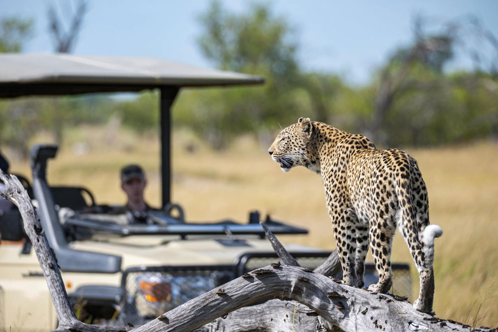 Leinas Travels Tanzania safari partner with Aglow Safaris